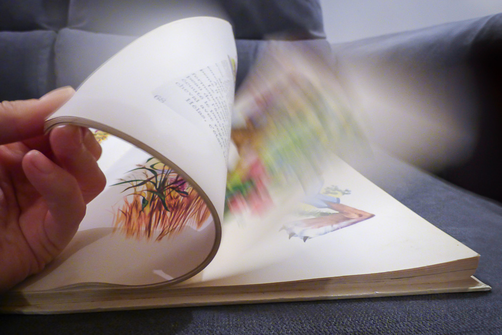 Des pages d&rsquo;un livre qu&rsquo;on feuillette