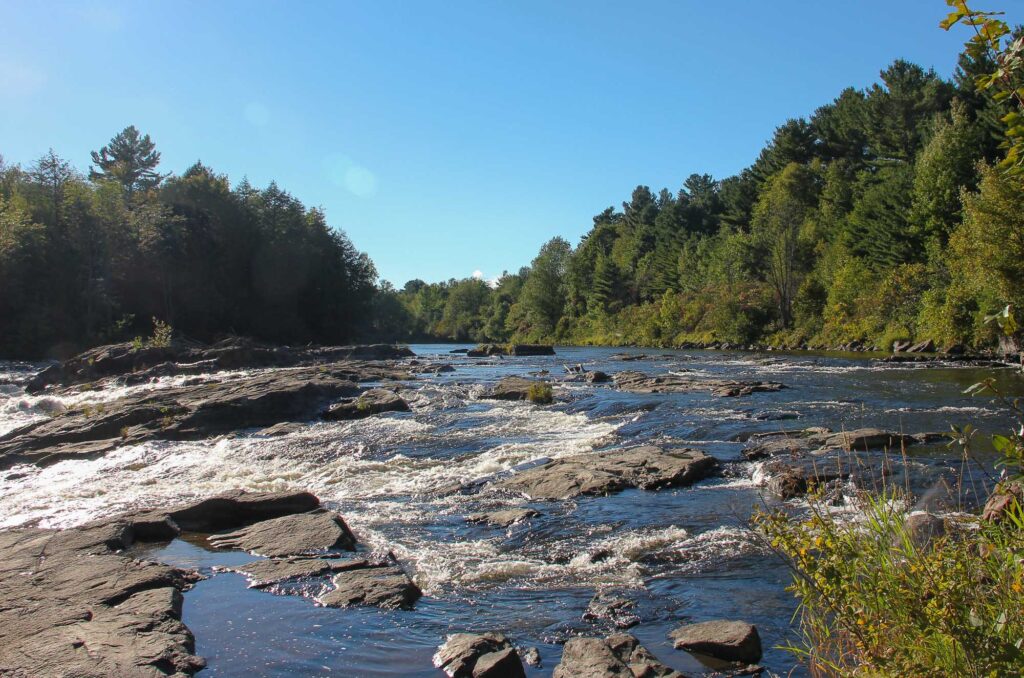 Rivi&egrave;re traversant la for&ecirc;t