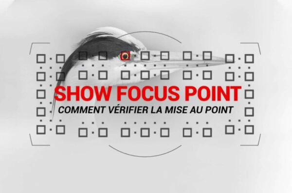 Une tête d'oiseau sur laquelle est superposée une grille de mise au point. Les mentions « SHOW FOCUS POINT » et « Comment vérifier la mise au point » apparaissent en rouge et en noir sur l'image.