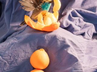 Oranges, oiseau, cl&eacute;mentines, tissu