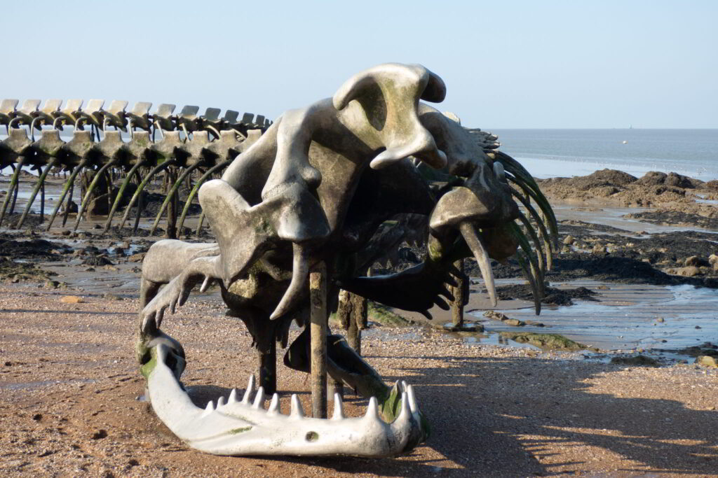 Serpent Saint-Br&eacute;vin