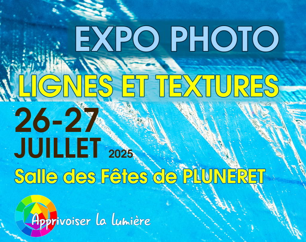 Infos de l’affiche exposition lignes et textures