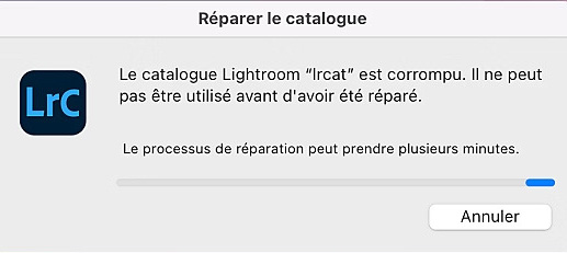 Boîte de dialogue de catalogue corrompu