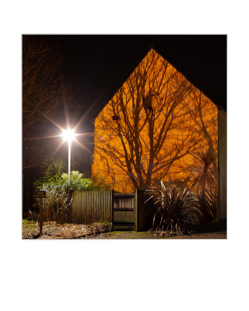 Un lampadaire lumineux projette les ombres des arbres sur le côté d'une maison la nuit, créant des motifs complexes sur le mur chaudement éclairé. Des buissons et une clôture en bois sont visibles au premier plan.