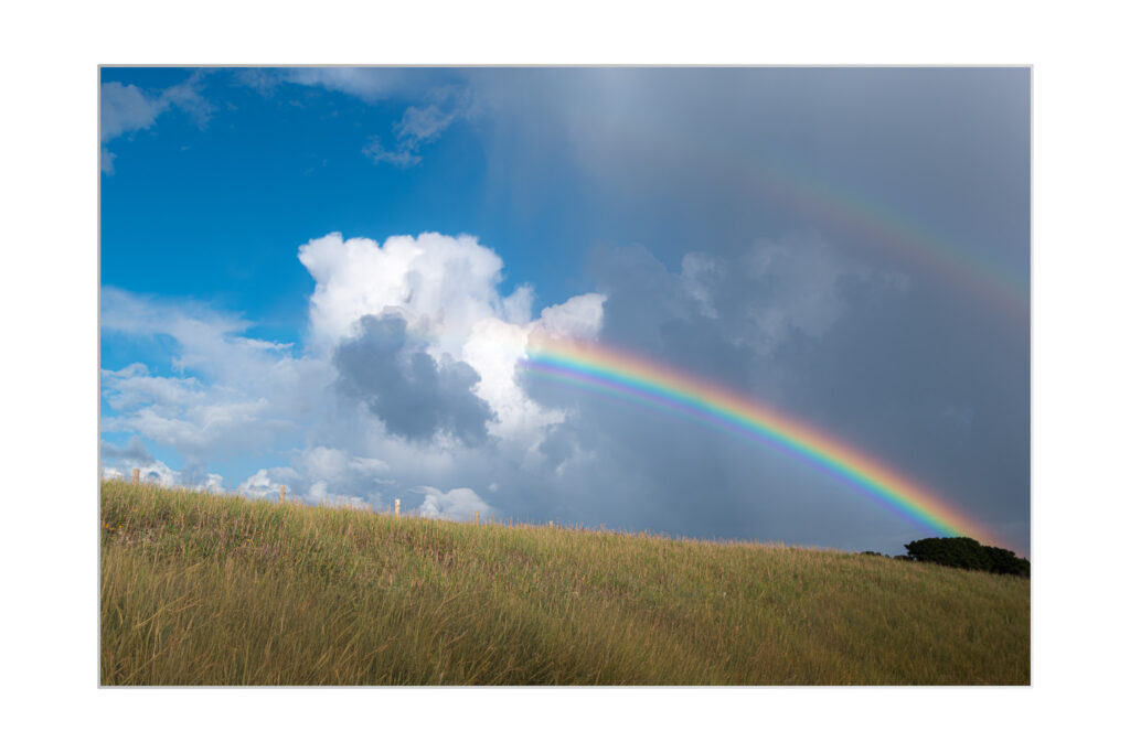 Un double arc-en-ciel traverse un ciel partiellement nuageux au-dessus d'un champ herbeux, la lumière du soleil illuminant le paysage et un bouquet d'arbres au loin.