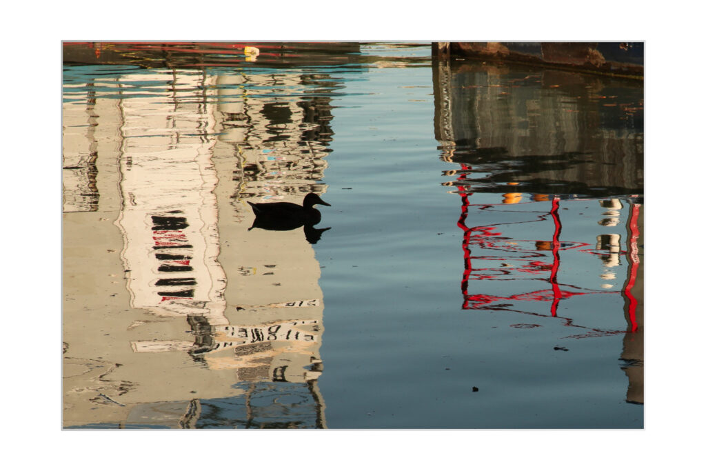 Un canard noir nage dans l'eau qui reflète des images déformées des bâtiments voisins, notamment des murs blancs et des échafaudages rouges, créant ainsi un motif abstrait à la surface.