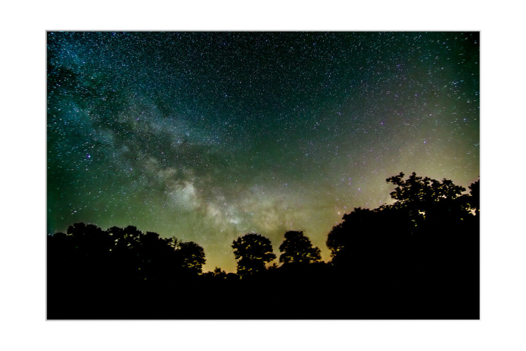 Le ciel nocturne rempli d'étoiles et la Voie lactée visible s'étendent au-dessus des silhouettes sombres des arbres, avec une faible lueur à l'horizon.