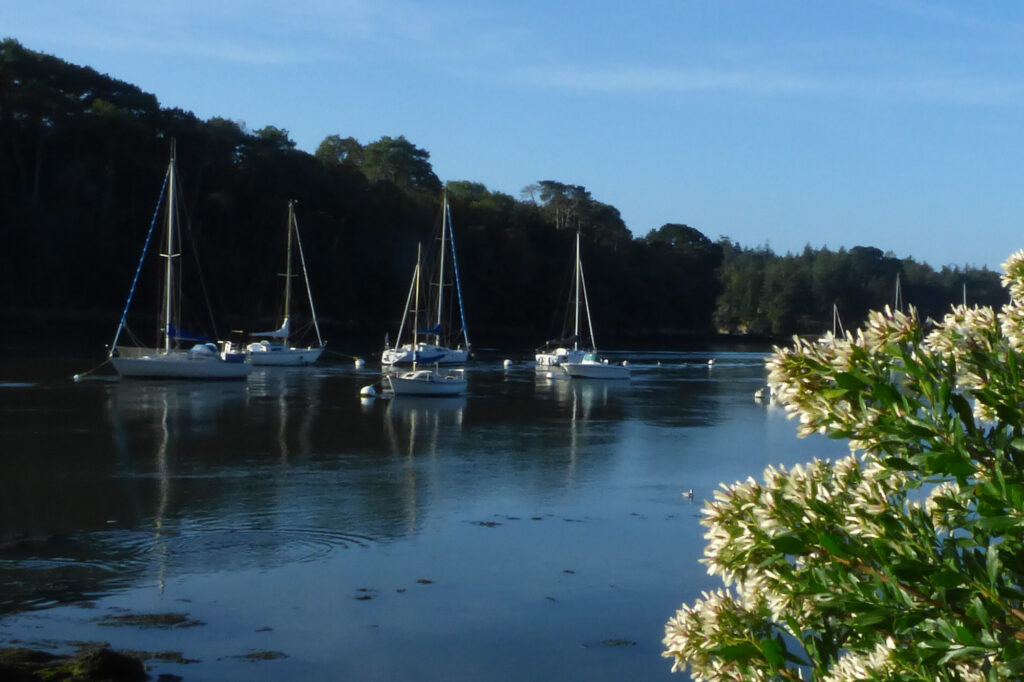 Des voiliers amarrés sur une rivière calme, avec en arrière-plan une rive boisée et, au premier plan, un buisson en fleurs, par une journée claire et ensoleillée.