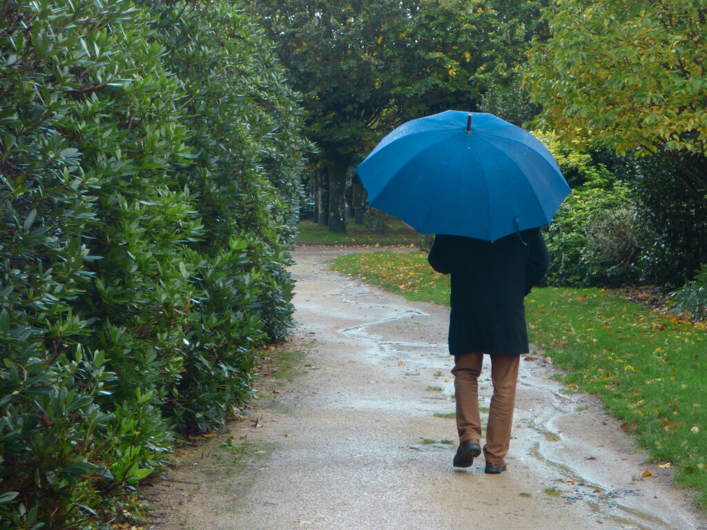 Une personne vêtue d'un manteau foncé et d'un pantalon marron marche seule sur un sentier sinueux et détrempé, un grand parapluie bleu à la main, entourée de buissons et d'arbres verts, par un jour de pluie.