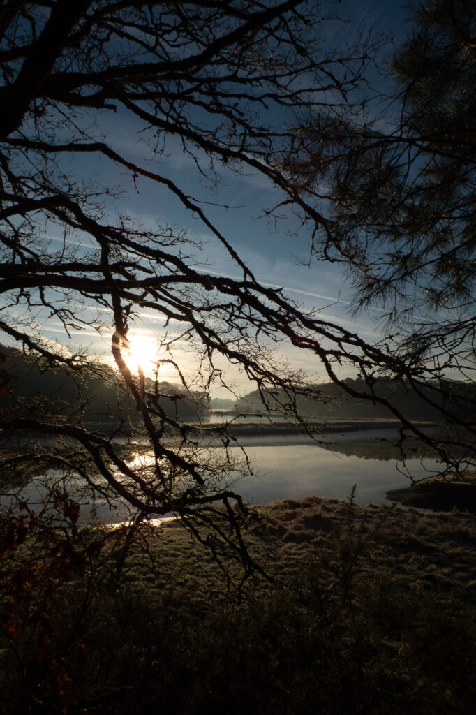 Lever de soleil sur un lac paisible, partiellement masqué par les branches nues des arbres au premier plan, avec de la brume s'élevant de l'eau et des collines en arrière-plan sous un ciel bleu limpide.