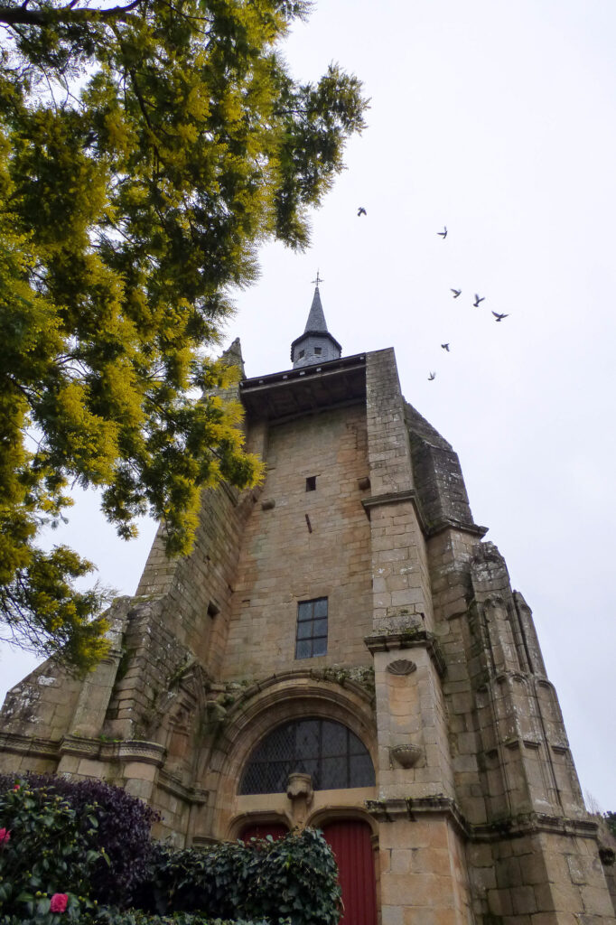 Un clocher en pierre, avec ses fenêtres cintrées et sa flèche, s'élève vers un ciel nuageux. Des oiseaux volent au-dessus, et des branches aux fleurs jaunes encadrent la partie supérieure gauche de l'image.