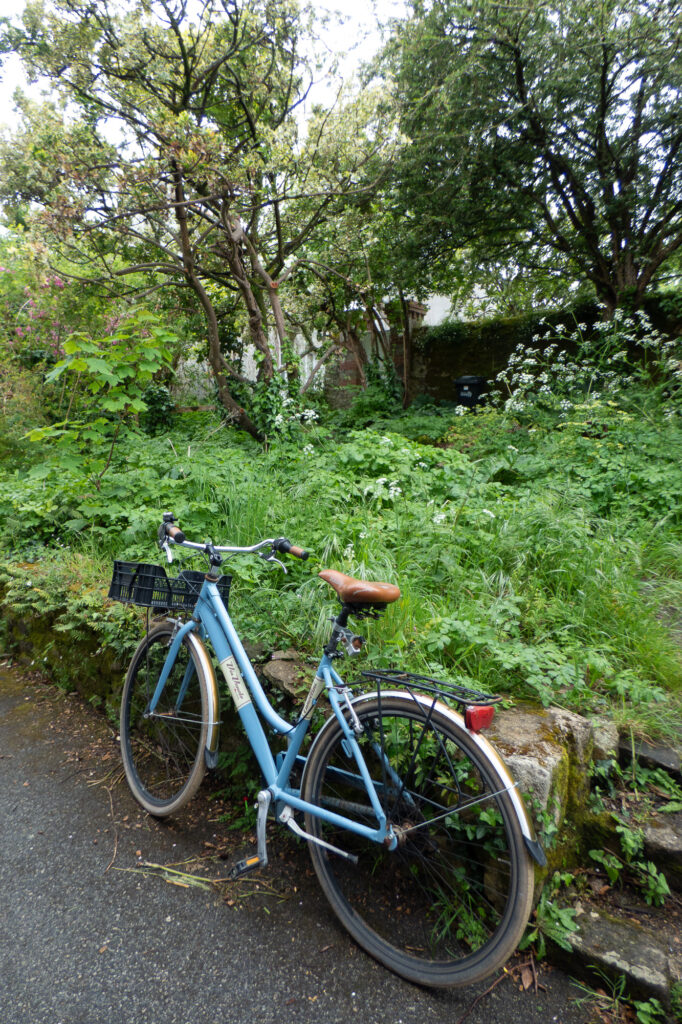 Un vélo bleu avec une selle marron est garé contre un muret de pierre, tandis que des plantes et des arbres d'un vert luxuriant envahissent le jardin derrière lui par une journée nuageuse.