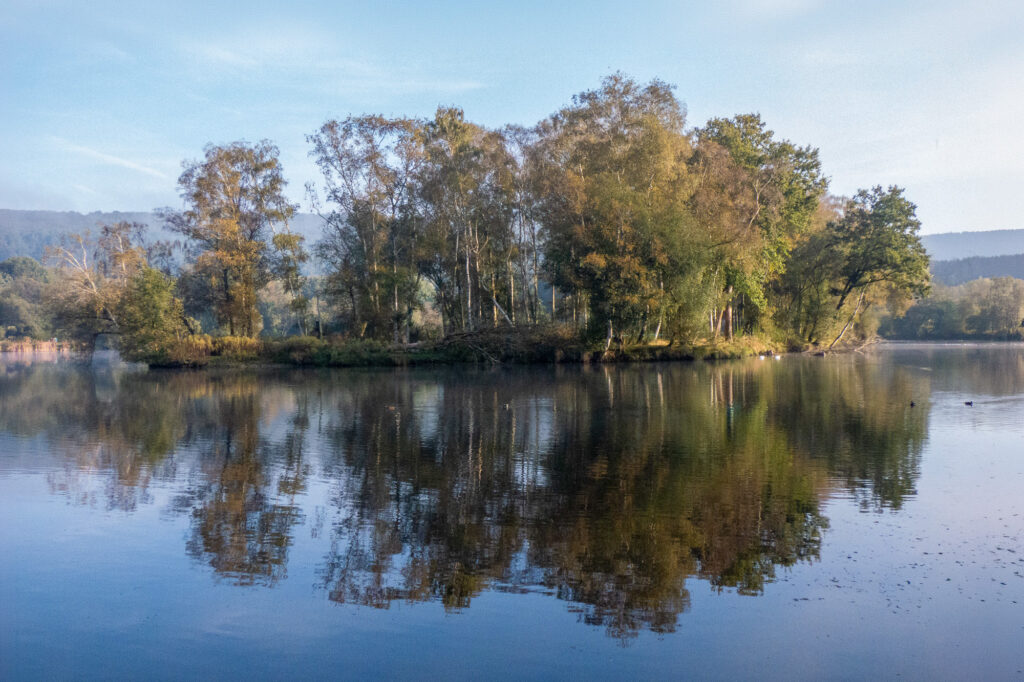 Une petite île parsemée de grands arbres se reflète dans les eaux calmes d'un lac, entourée de collines lointaines sous un ciel bleu limpide.