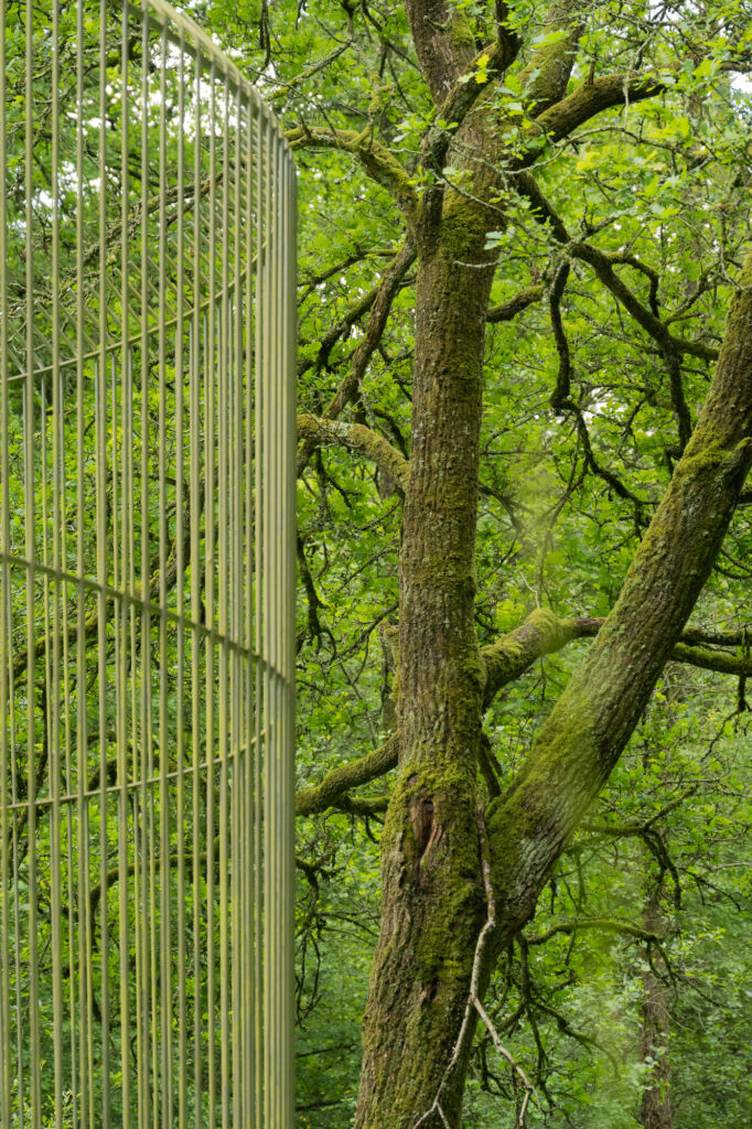 On aperçoit, sur le côté gauche de l'image, les hautes barres métalliques verticales d'une cage, avec en arrière-plan les arbres et les branches d'une forêt à la végétation luxuriante.
