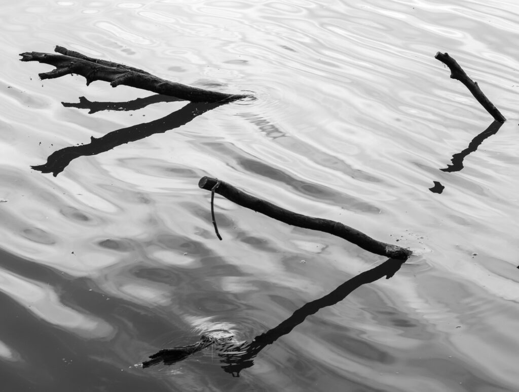 Plusieurs branches d'arbres sont partiellement immergées dans une eau calme, projetant des reflets sombres sur la surface ondulée. L'image est en noir et blanc, ce qui accentue le contraste entre les branches et l'eau.