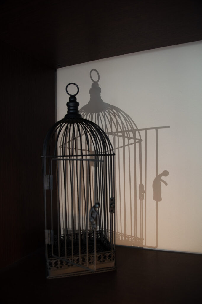 Une cage à oiseaux en fil de fer noir repose sur une étagère, projetant une ombre sur le mur. L'ombre laisse entrevoir une petite silhouette suspendue à l'intérieur de la cage, créant ainsi une illusion qui n'existe pas dans la cage réelle.