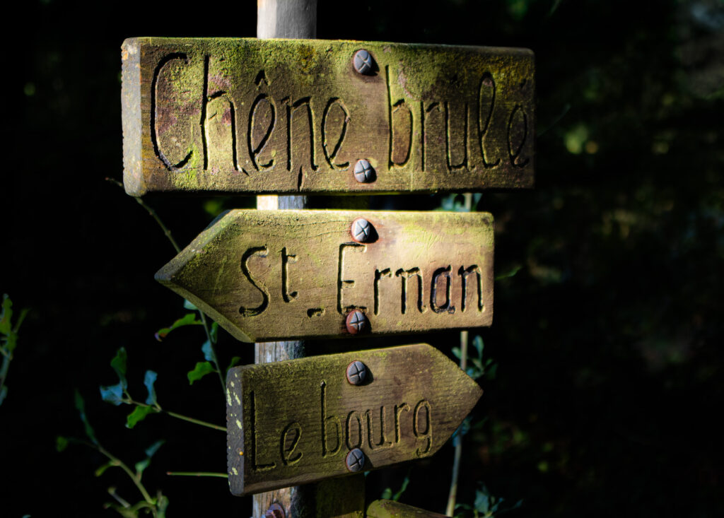 On voit trois panneaux indicateurs en bois portant des inscriptions en français — « Chêne brulé », « St. Ernan » et « Le bourg » — baignés par la lumière du soleil, avec en arrière-plan une forêt sombre et feuillue. Les panneaux ont un aspect rustique et patiné par les intempéries.