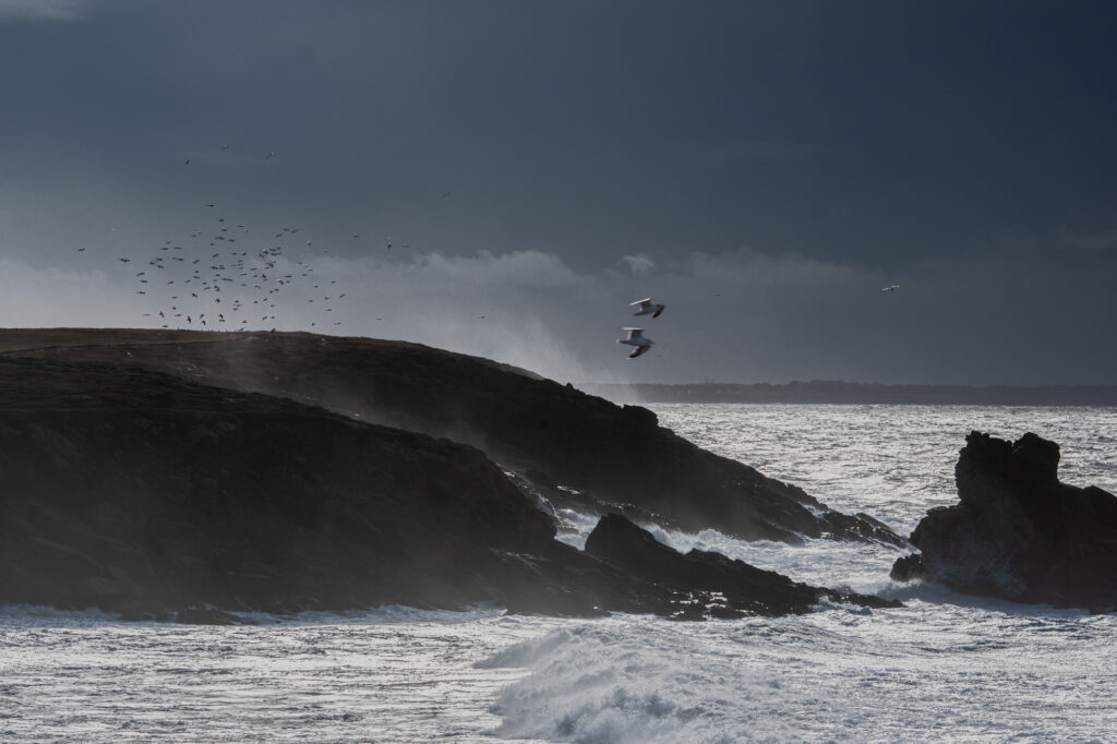 Un littoral rocheux et spectaculaire sous un ciel sombre et nuageux. Les vagues viennent se briser contre les rochers, tandis qu’une volée d’oiseaux survole la mer ; quelques-uns d’entre eux sont plus clairement visibles au centre de l’image.