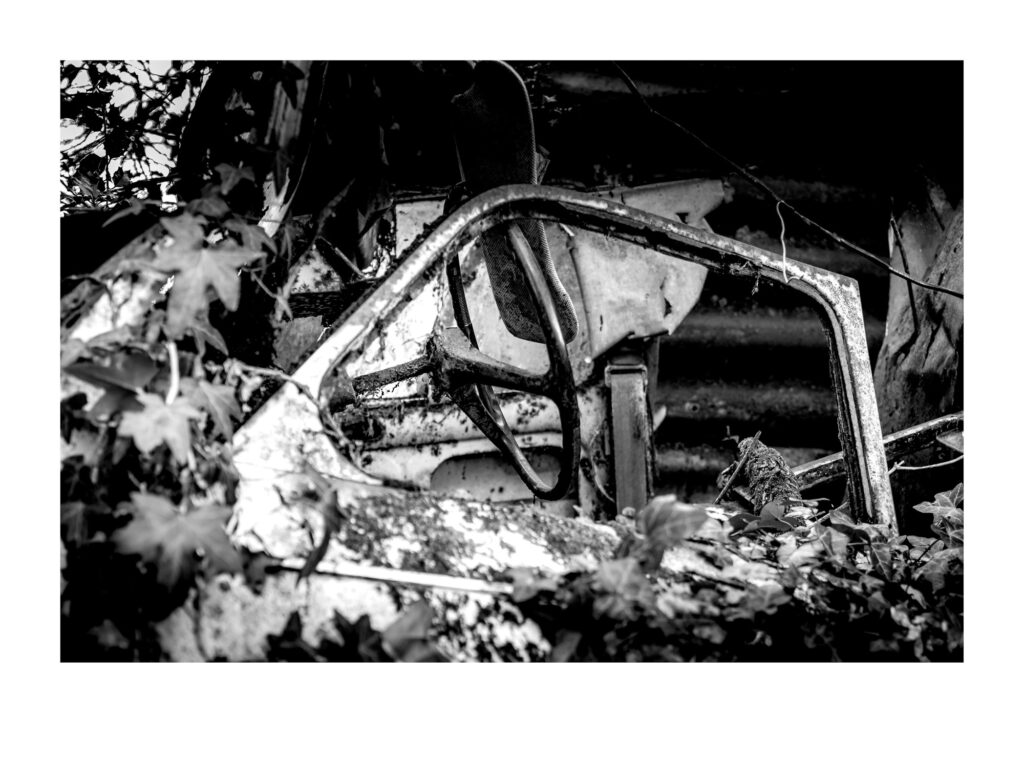 Photo en noir et blanc d'une vieille voiture abandonnée, envahie par le lierre. La portière est ouverte ; on aperçoit le volant et le tableau de bord à travers la végétation et la rouille.