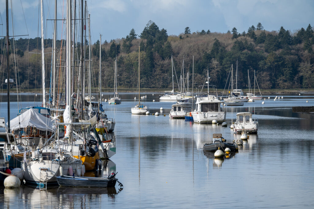 Plusieurs voiliers et bateaux à moteur sont amarrés dans une marina paisible, avec en arrière-plan des arbres et des collines boisées sous un ciel partiellement nuageux.